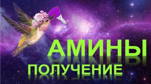 56. Амины (часть 2)