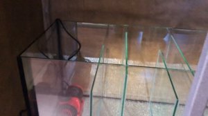 САМП для аквариума.