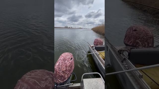 Рыбалка в марте на базе "На Калиновке" смотреть онлайн