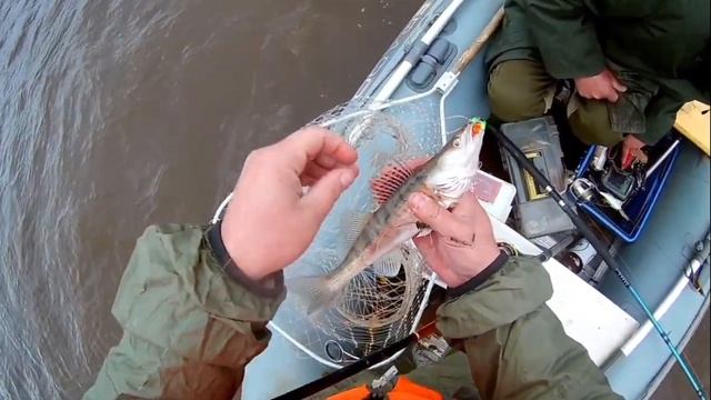 ТАКОГО ТРОФЕЯ НИКТО НЕ ОЖИДАЛ! 18+ Никто не поверит! Открытие сезона рыбалки 2022 год. смотреть онлайн