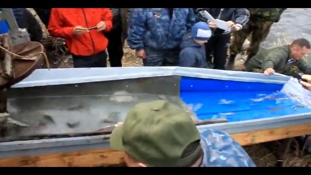 Рыбалка не реальное количество рыбы в городе СЧАСТЬЕ,ЛУГАНСКАЯ ОБЛАСТЬ, смотреть онлайн