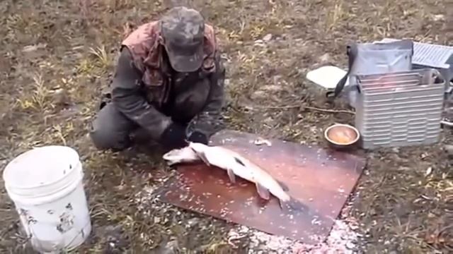 Что можно обнаружить в щуке - 5 невероятных находок смотреть онлайн