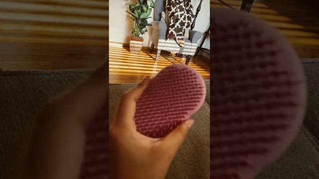 Make This A Fidget￼ Pls ￼