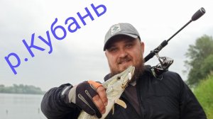 Река Кубань! Щука, жерех, окунь на спиннинг.