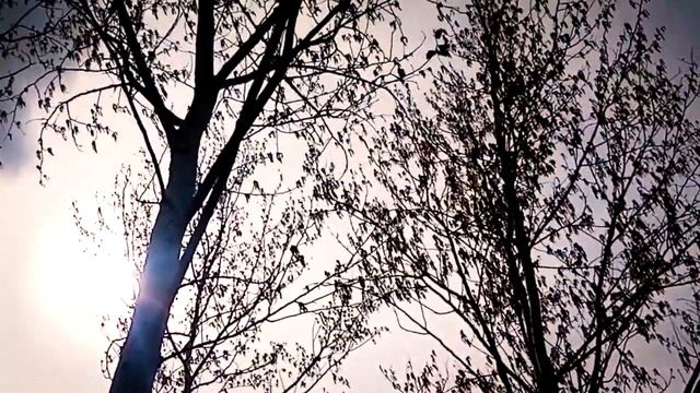 Родные берега с. Левокумское смотреть онлайн