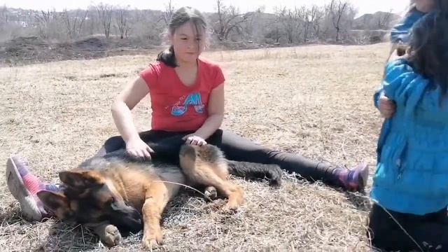 ШАФФЛ ОТ АНИ И АЛИСЫ ВЕСНА РАЗМИНКА ИГРА "СОВА" смотреть онлайн
