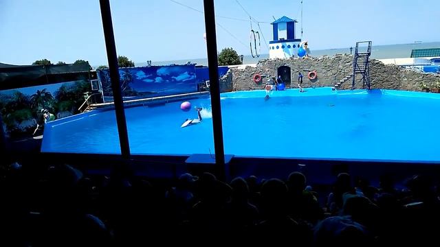 Ейск Дельфинарий ''Немо'' июль 2018 смотреть онлайн