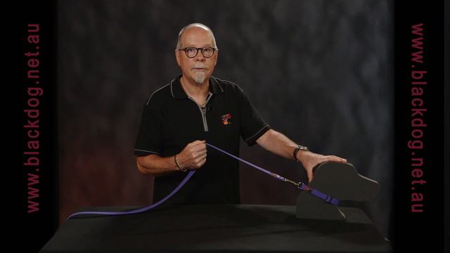 DogsPullingOnLead смотреть онлайн