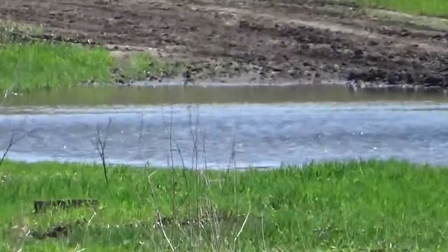 Заливные луга в России смотреть онлайн