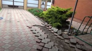 Ремонт брусчатки колея продавленная  автомобилем  своими руками