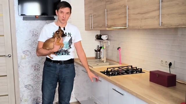 Обзор кухни. Как правильно скрыть технику и какая польза от антресолей смотреть онлайн