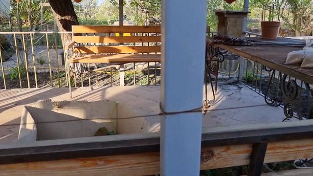 26 апреля 2022 г.вика сделала педикюр новый смотреть онлайн