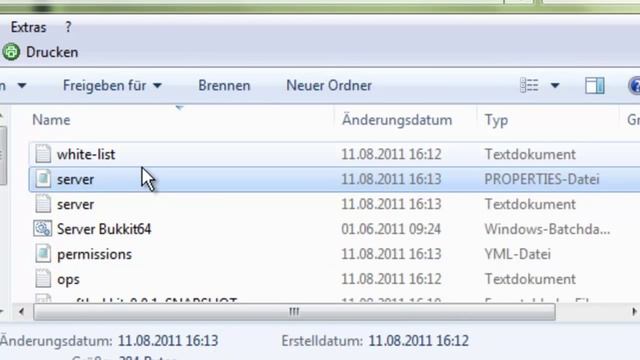 Minecraft Bukkit Server mit 1.8.1 Beta erstellen (ohne Hamachi) Part 1 смотреть онлайн