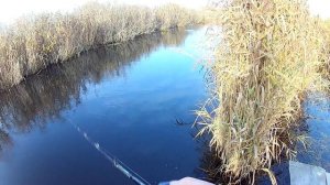 Jackall Jockie 120  Обзор одного воблера из моей коробки Ловля щуки