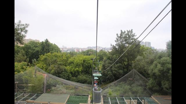 Lissabon Zoo смотреть онлайн
