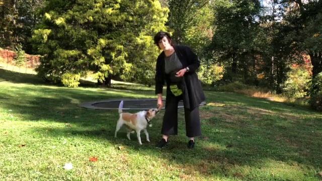 Basics : reward for attention, 1 2 3 Pattern Game, "Break!" + cookie search смотреть онлайн