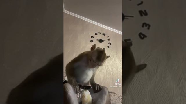 \ЯХА\НОЧЬ/ЧТО\ЗА\СТРАННАЯ\СВОБОДА смотреть онлайн