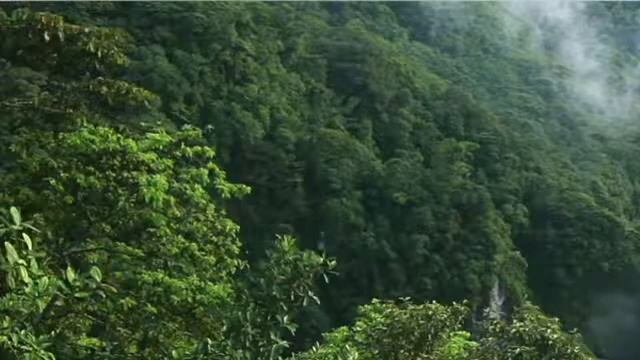 Meditation || Study Music || Relaxing Music ❤️❤️