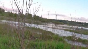 ЛОВЛЯ УКЛЕЙКИ. КАК ПРИГОТОВИТЬ