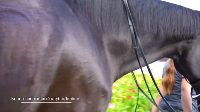 Строительный трест. Коттеджный посёлок "Озёрный край", лето 2019 г. смотреть онлайн