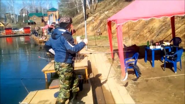 Рыбалка в Подмосковье! Бешеный клев Форели!!! 15.02.17 смотреть онлайн