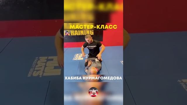 Мастер класс от Хабиба Нурмагомедов работа в партере ??????#Хабиб #мирбоев #партер #борьба смотреть онлайн