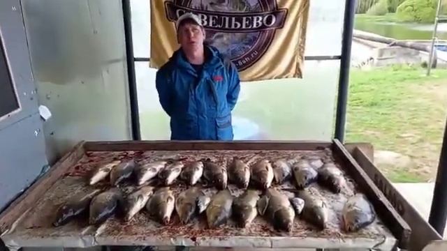 Рыбалка по карпу в Братовщине. смотреть онлайн