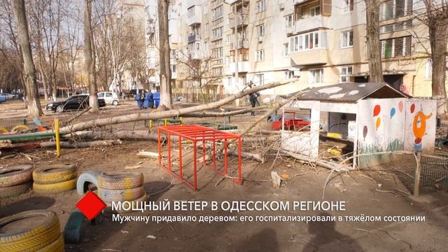 На Таирова мужчину придавило деревом: его госпитализировали в тяжёлом состоянии смотреть онлайн