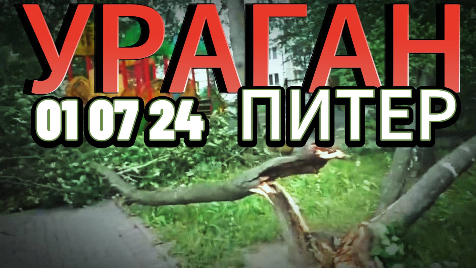 ЭКСКЛЮЗИВ !!! ПИТЕР !!! ОСОБОЕ ВНИМАНИЕ !!!! НАС НАКРЫЛ #УРАГАН #рыжийтест #Япестовв #ZOO #ПИТЕР смотреть онлайн