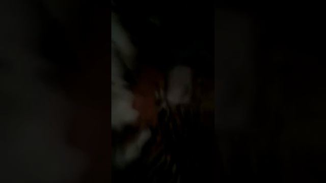 Пранк 100 слоёв туалетной бумаги на телефон смотреть онлайн