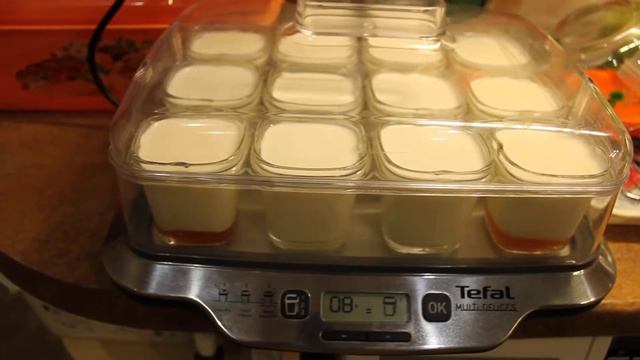 Готовлю йогурт в йогуртнице TEFAL смотреть онлайн