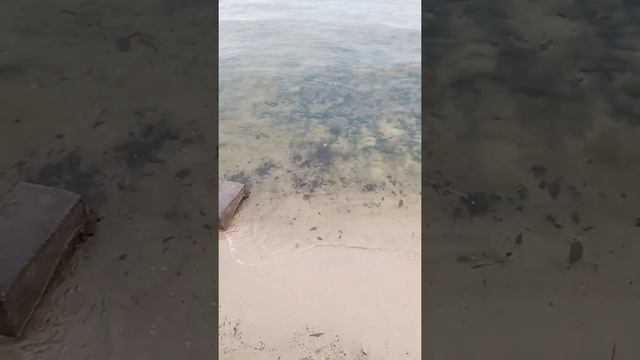 Уж небо осенью дышало, уж реже солнышко блистало... смотреть онлайн