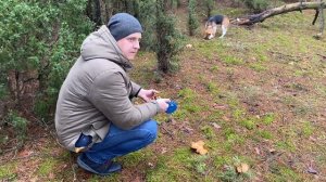 ШЕРЛОК УБЕГАЕТ от СИРЕНОГОЛОВОГО. БРОС ШОУ ПЕТ