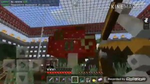 Сервер майнкрафт топовый на версию 1.1.0-1.15