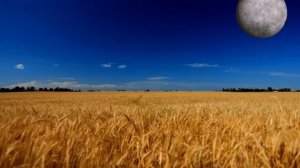 О шок, луна падает под трек срущих мамонтов?????