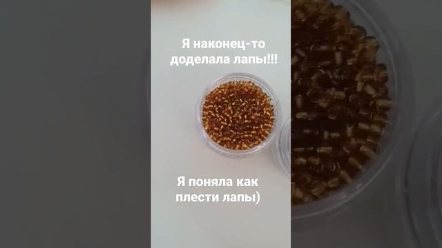 китайская чихуахуа) #бисер #бисероплетение #амигуруми смотреть онлайн