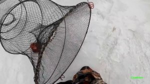 Я в ШОКе от катиски, она и здесь ловит больше всех. Ловля рыбы мордушками. Рыбалка в Сибири 2021.