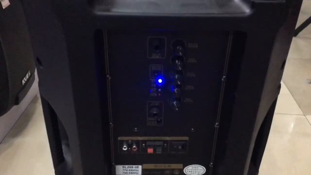 Комбоусилитель #Temeisheng SL208-08 смотреть онлайн