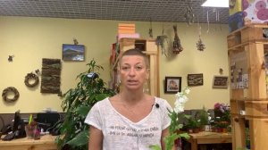 Маттиола или левкой - неважно как именно называть этот прекрасный душистый цветок