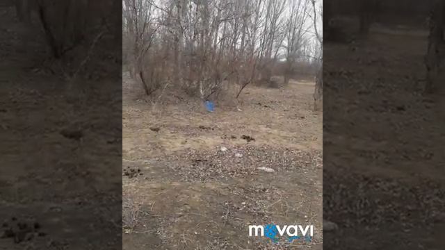 Обращение к тем,кто приезжает ежегодно в Астрахань на рыбалку!!! смотреть онлайн