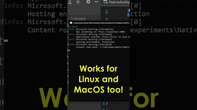 Compiling C# like Rust, Go and C++ смотреть онлайн