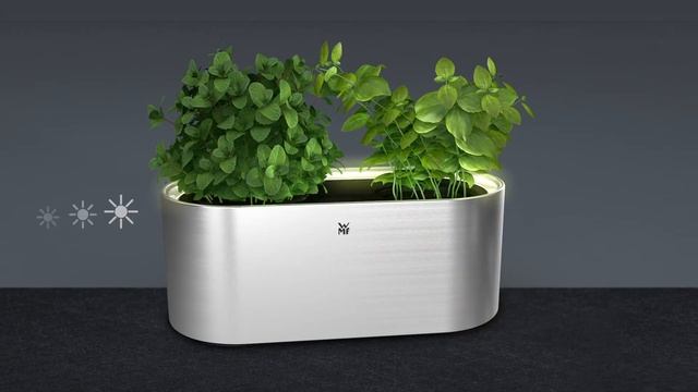 WMF Ambient смотреть онлайн