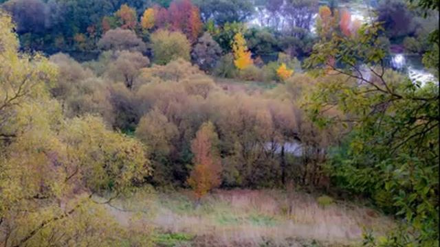 ВИА Орион - Иволга. (Самое раннее, редкое исполнение).mp4