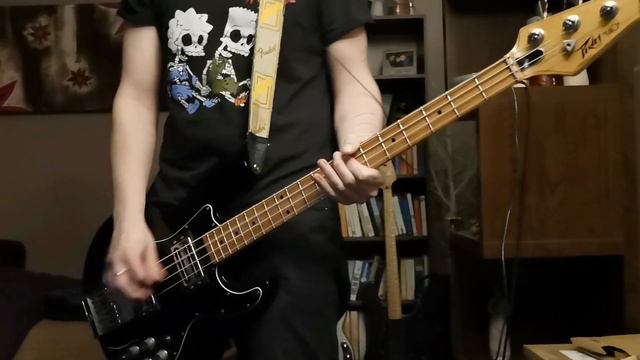 Teenage Bottlerocket - I Wanna Die Bass Cover смотреть онлайн
