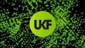 Sub Focus - Wildfire