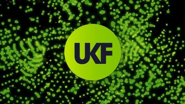 Sub Focus - Wildfire