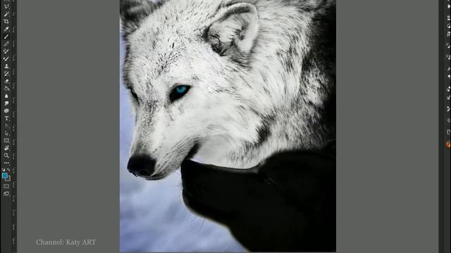 КАРТИНА - Волк и Волчица | Wolves