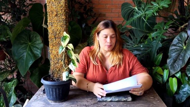 SCINDAPSUS PICTUS 'MAYARI' | Intro & Registration Experience With The International Aroid Society