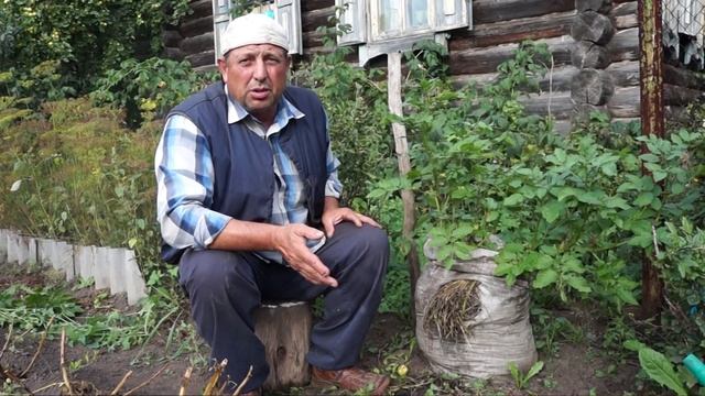 Как вырастить КАРТОШКУ В МЕШКЕ! Уникальный способ выращивания картофеля! смотреть онлайн