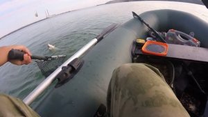 Рыбалка на Солнечнодольском водохранилище на кашу